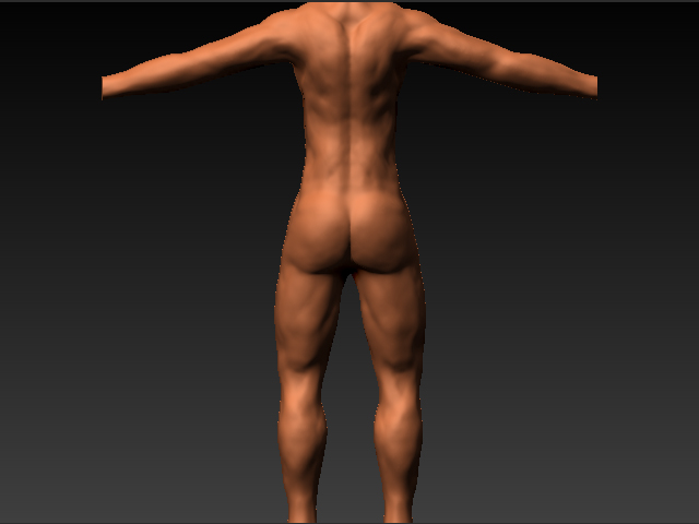 BODYBACK.jpg