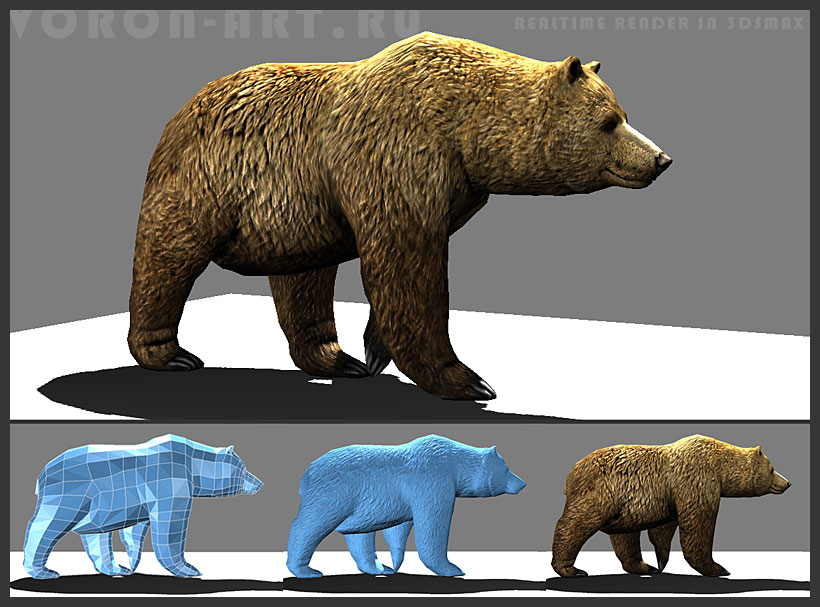 brown bear04.jpg
