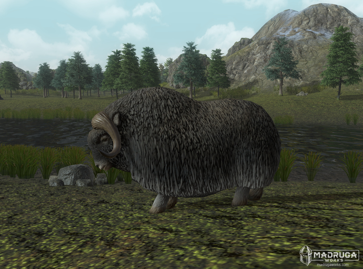 screen_muskox_01