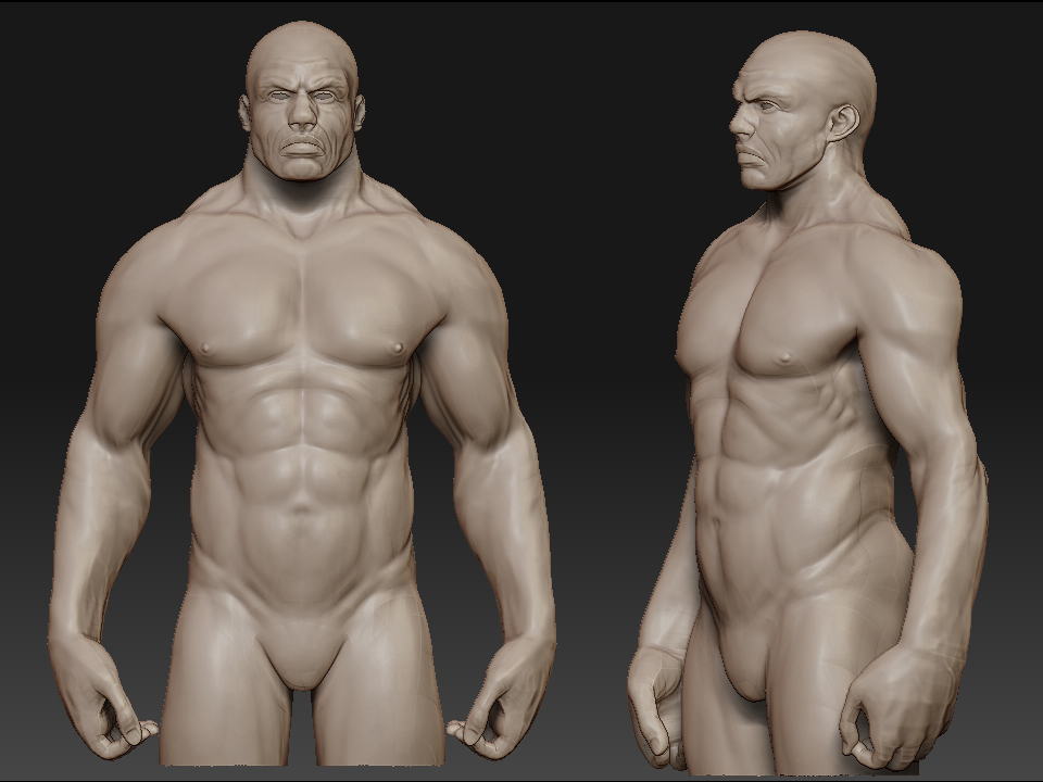 anatomy_03PSD.jpg