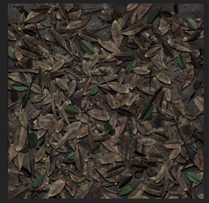 Ground.jpg