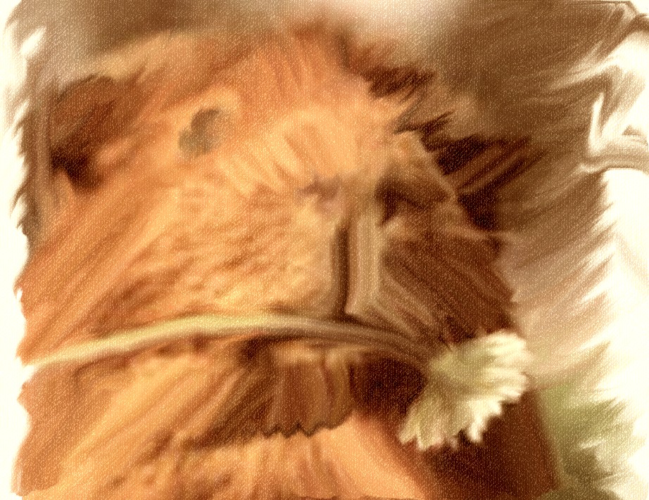 margueritte.jpg