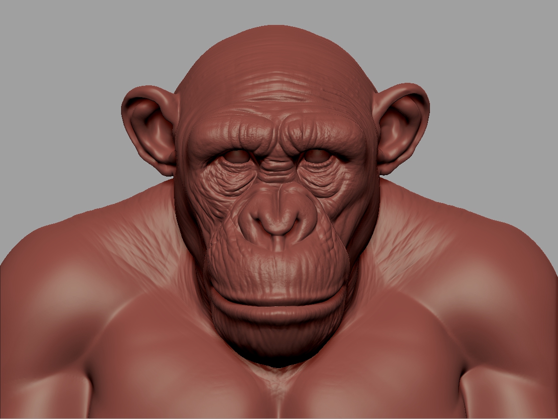 Chimp#1_01.jpg