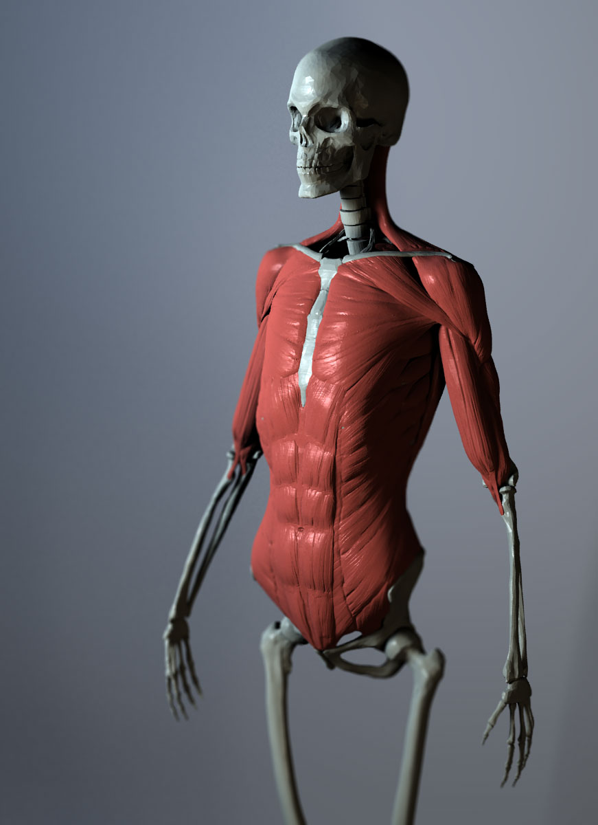 wip-2-053011.jpg