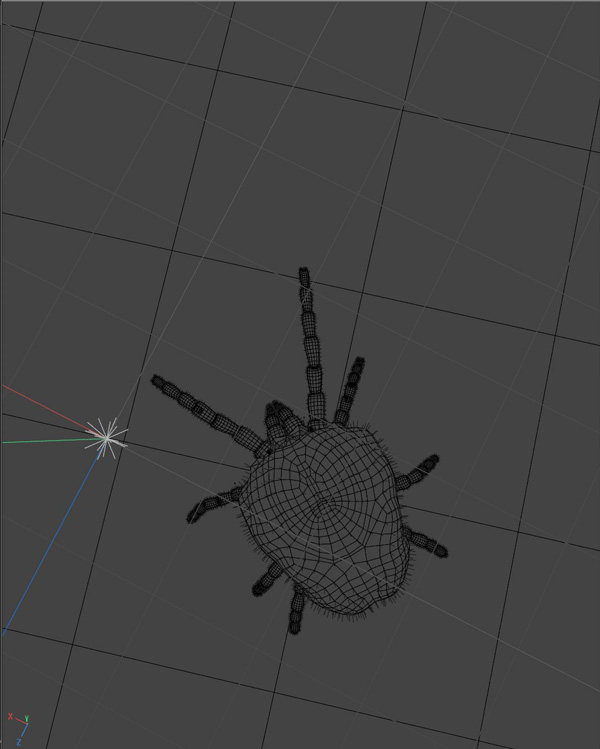 Mite_Geo_2_sm
