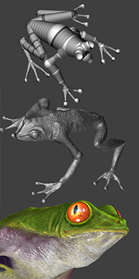 frog_mesh.jpg