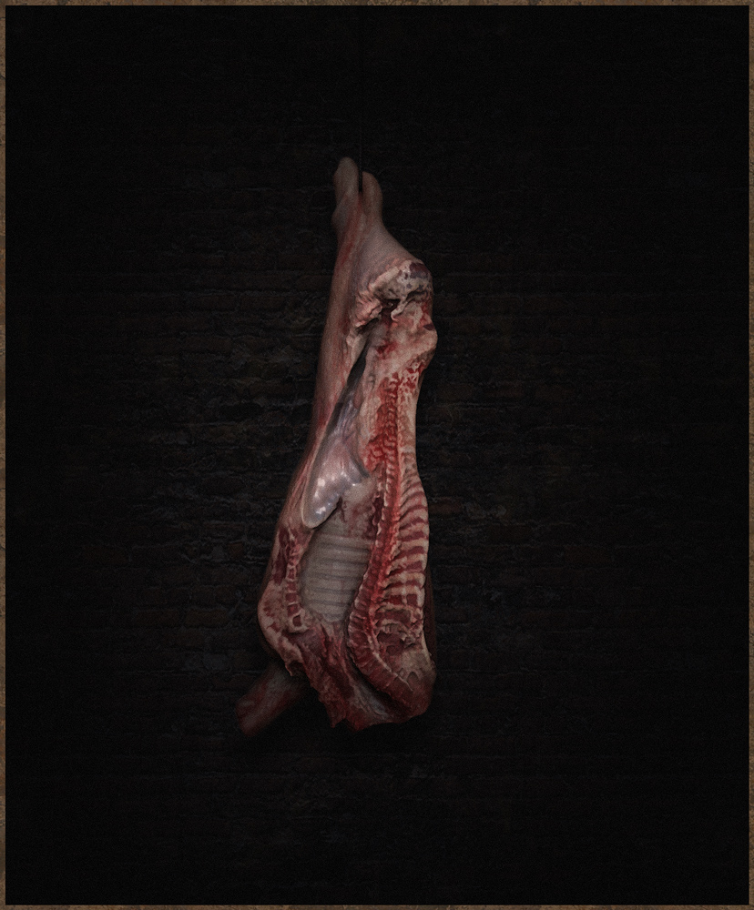 meat.jpg