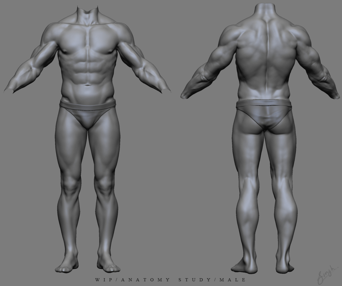 anatomy study3.jpg