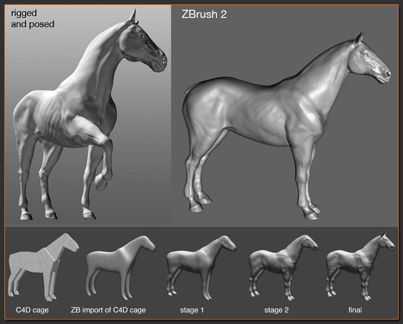 horse.jpg
