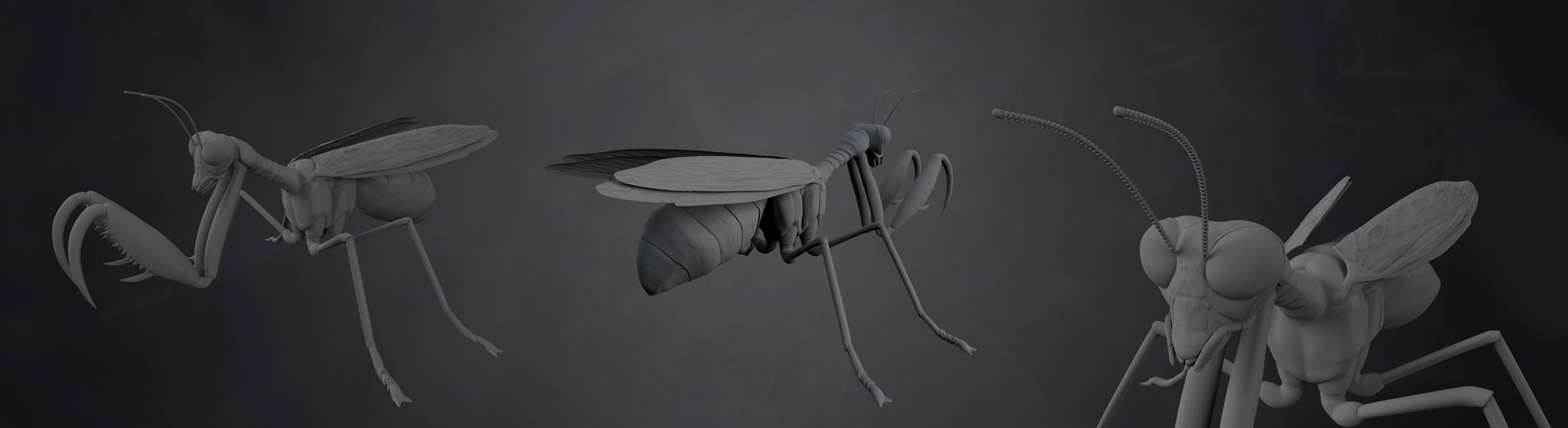 Mantidfly_presentation.jpg