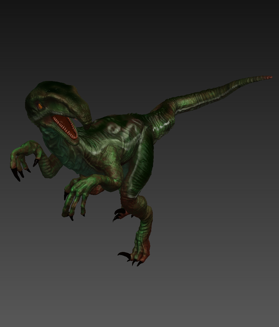 raptor-1.jpg