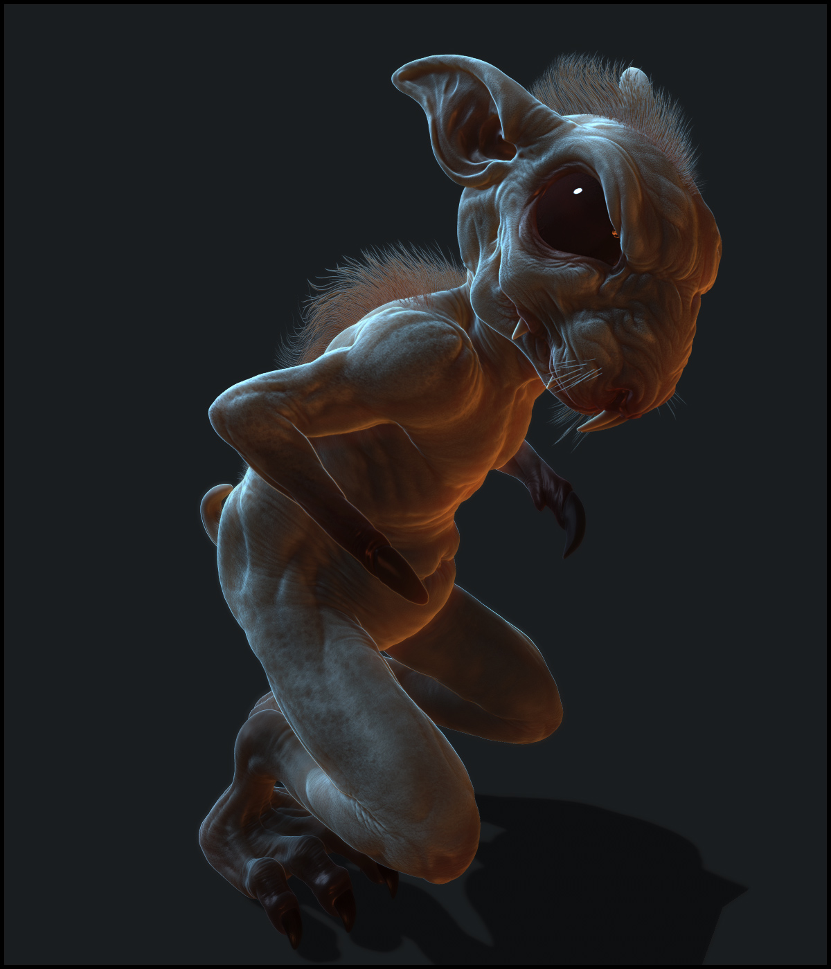 Bunny_05.jpg