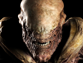 thumb.jpg