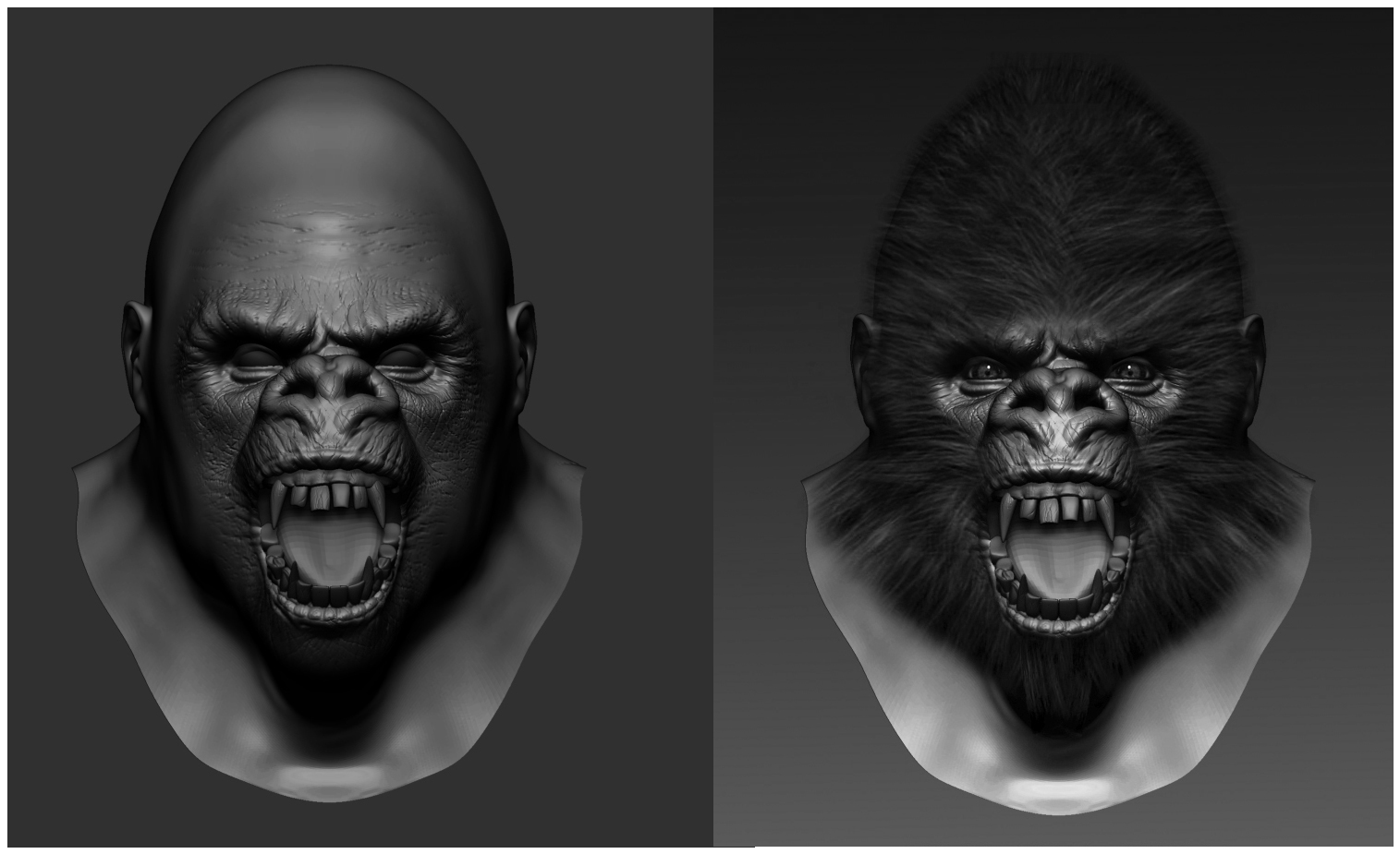 Gorilla-step.jpg