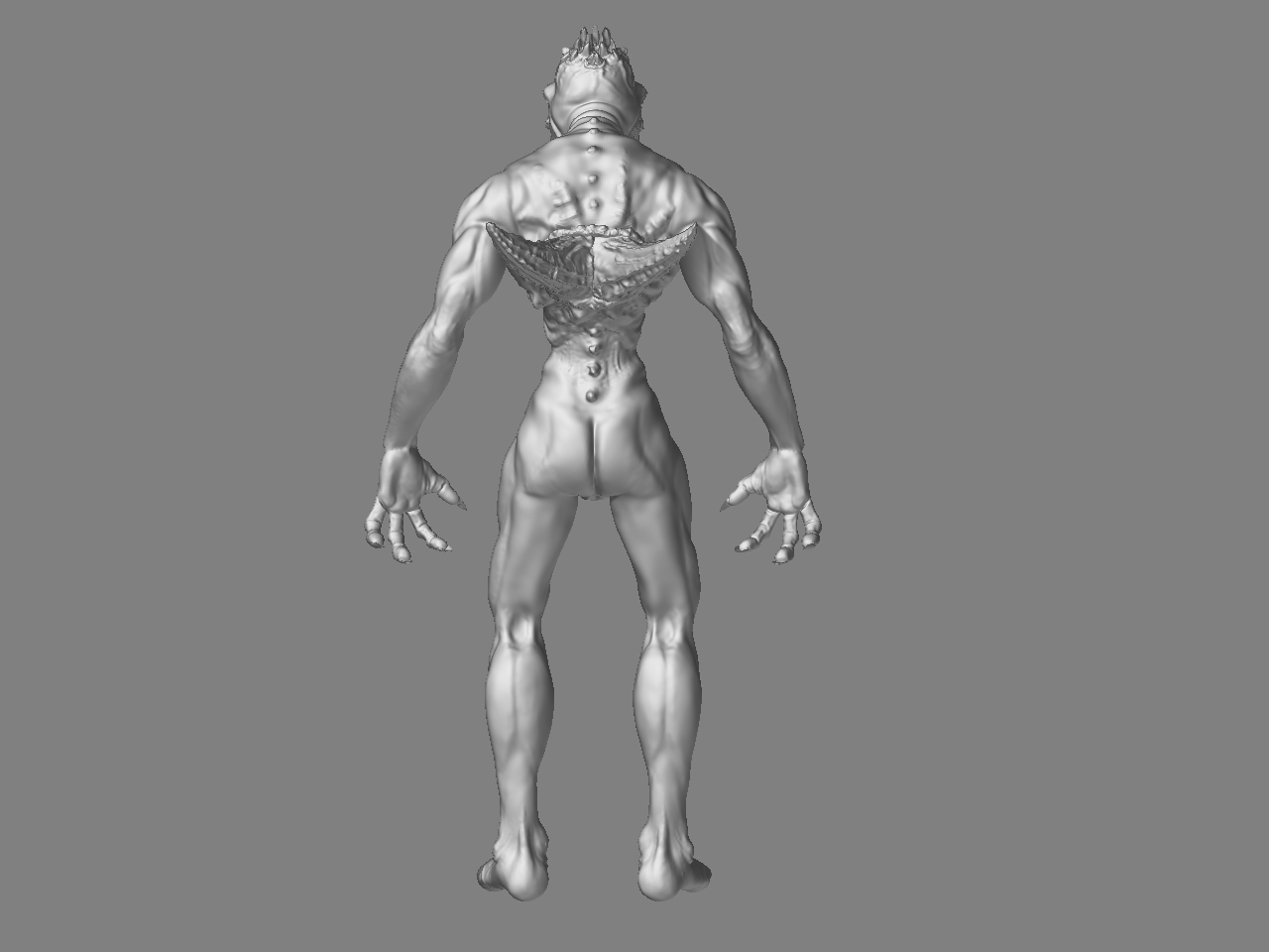 body 13.jpg