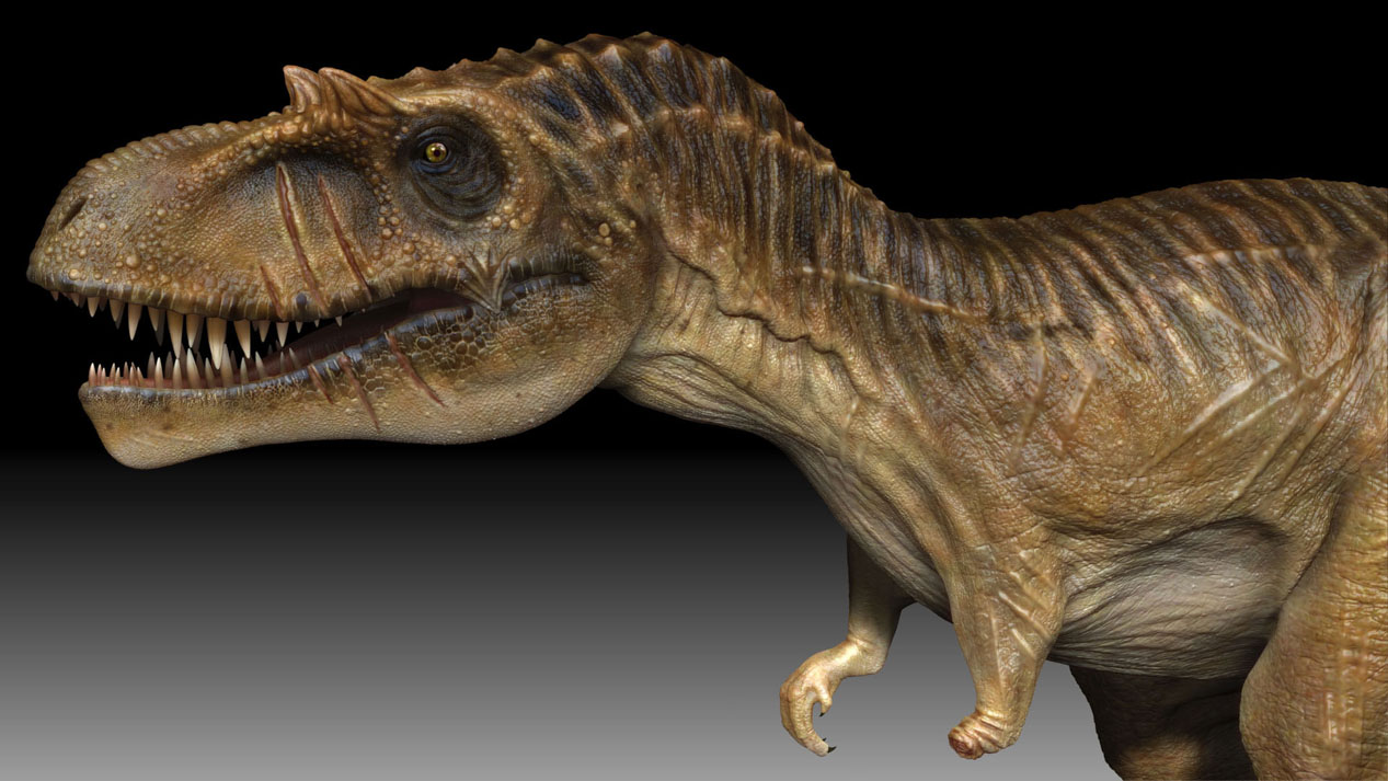 Albertosaurus_headshotA_Zbrush.jpg