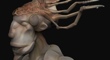 crabKing-m.jpg
