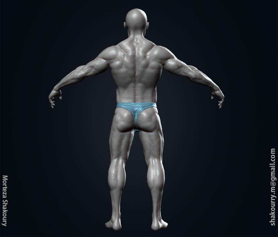 back.jpg