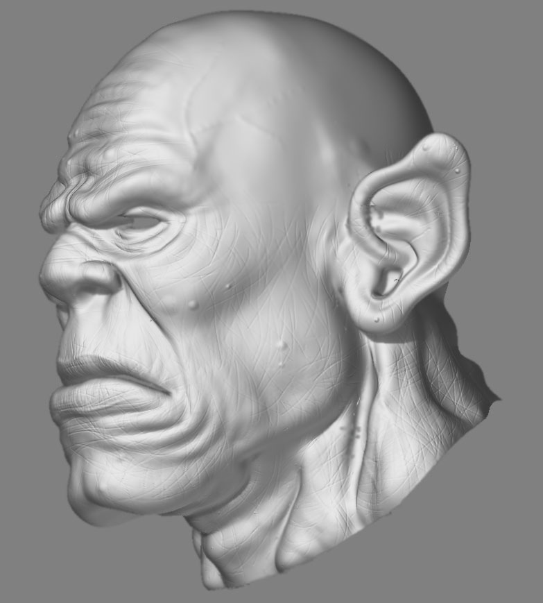 wip11.jpg