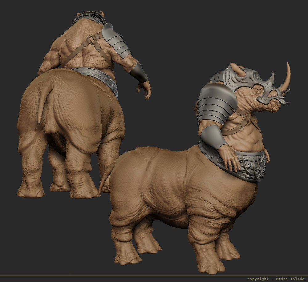 rhino-11.jpg