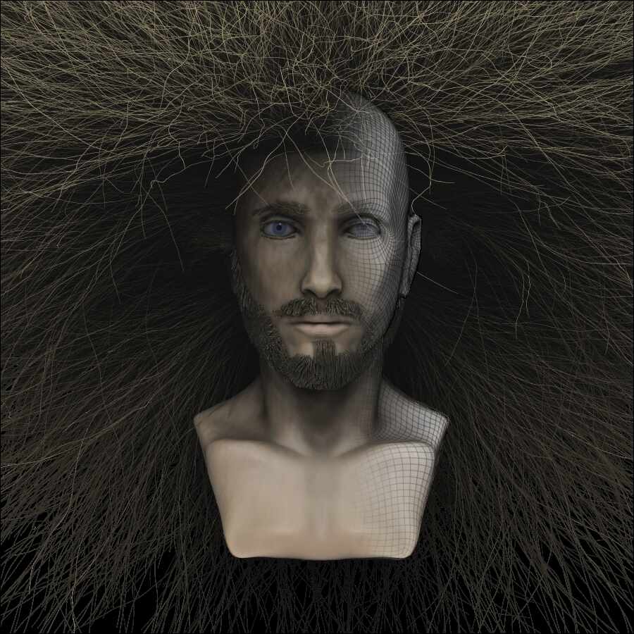 renderhaircol