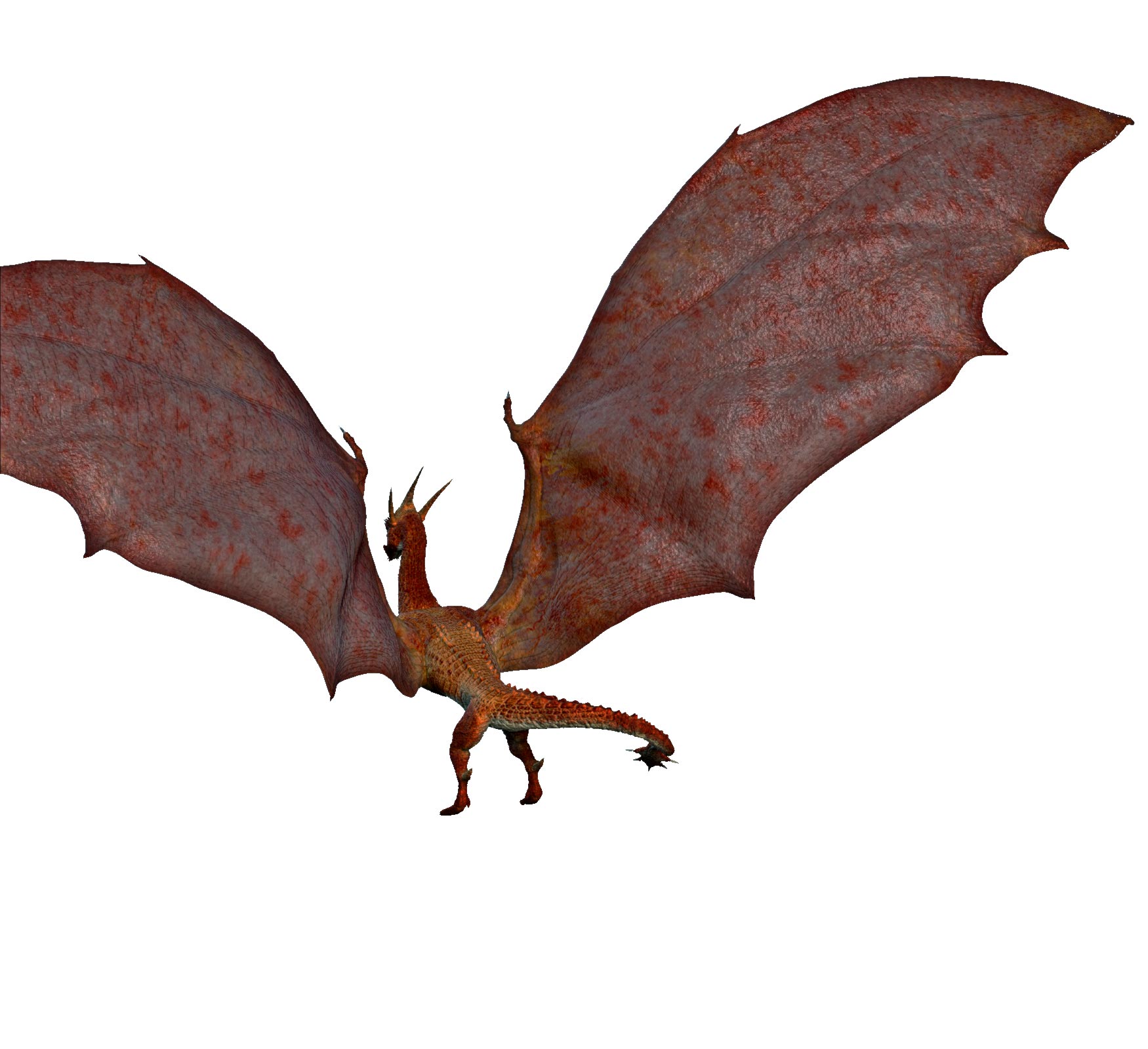 dragon_011.jpg