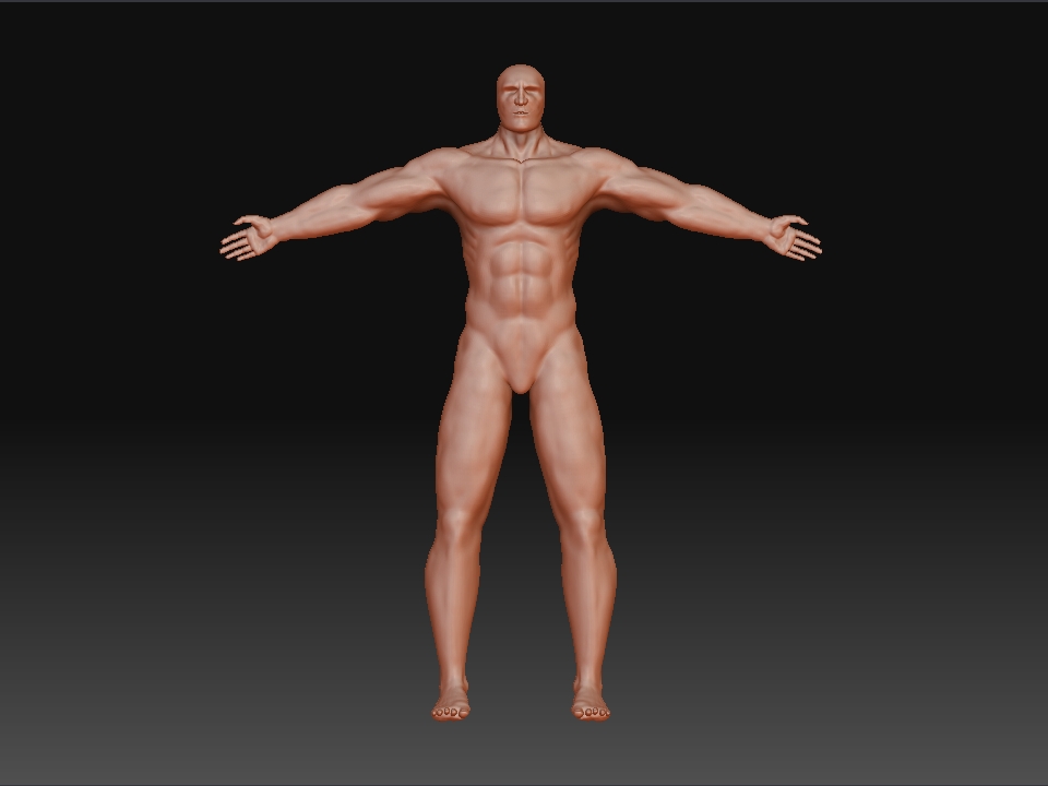 skin1.jpg