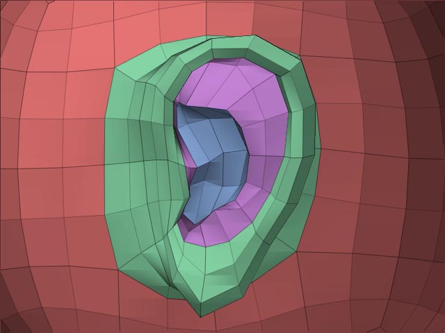 ear_lowpoly.jpg
