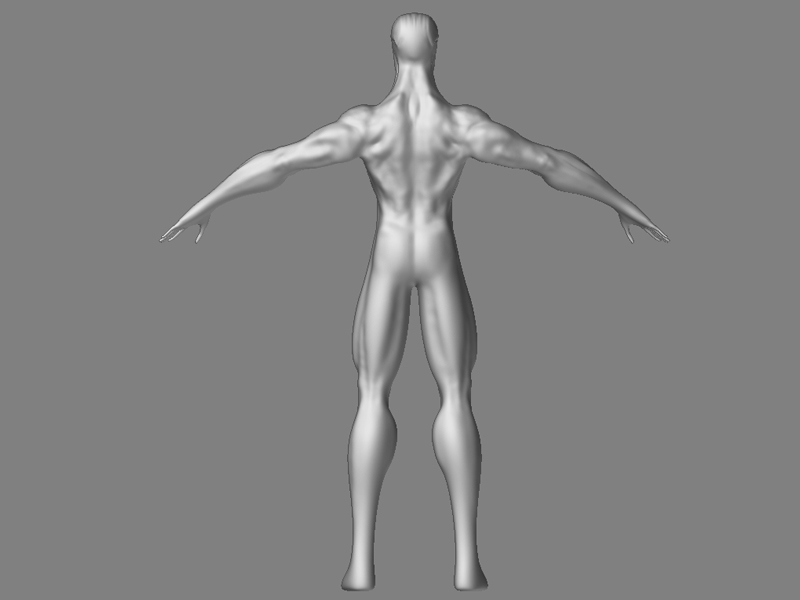 Z-back.jpg