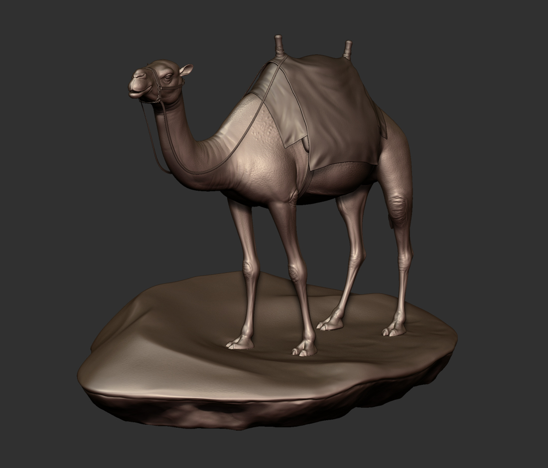 camel_2.jpg