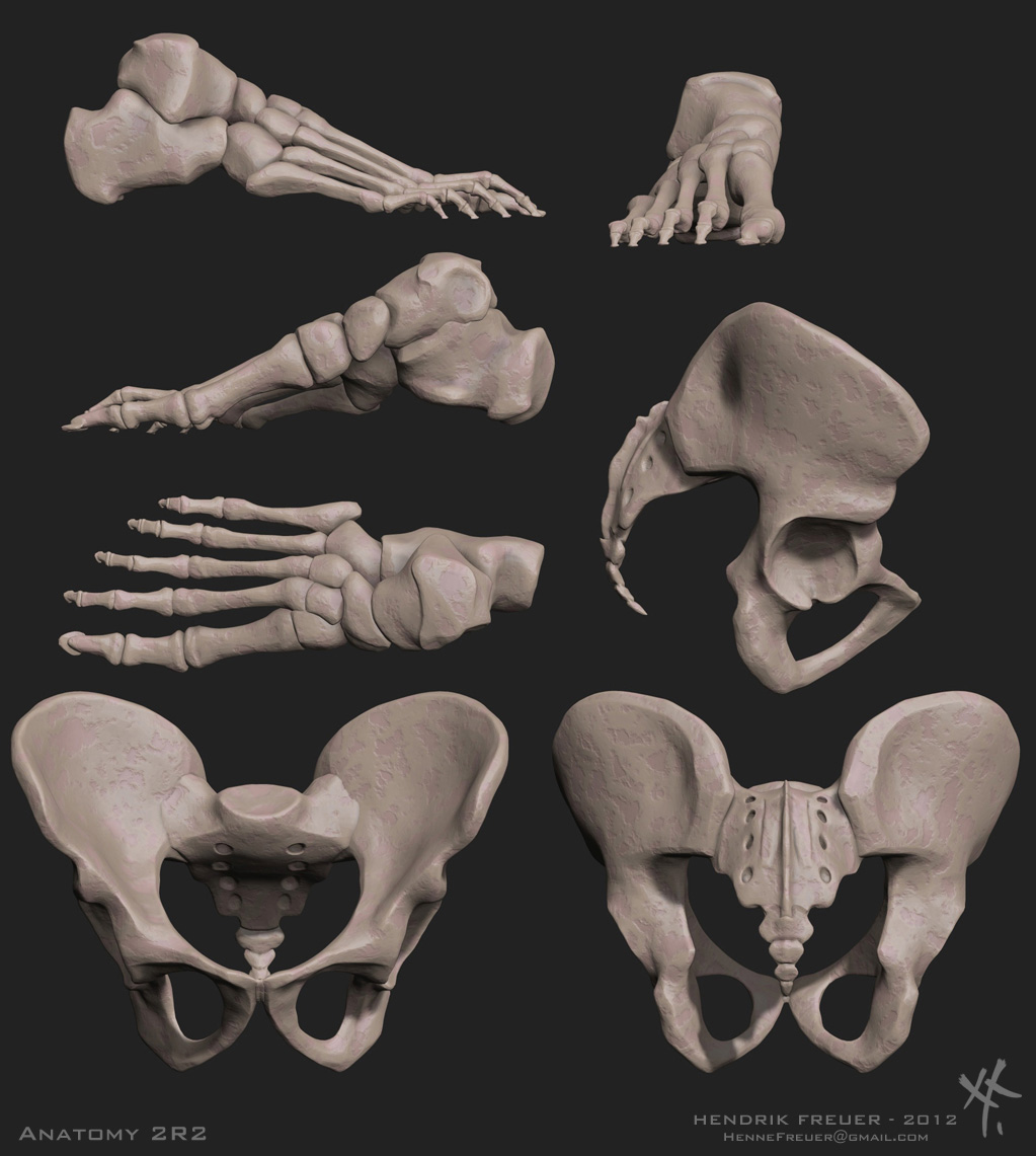 A2R2_Bones.jpg