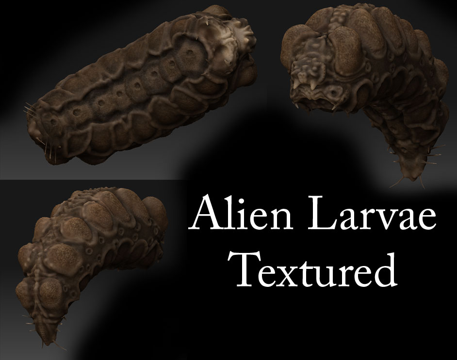 Larvae_Textured.jpg