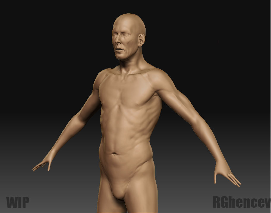 bodywip.jpg