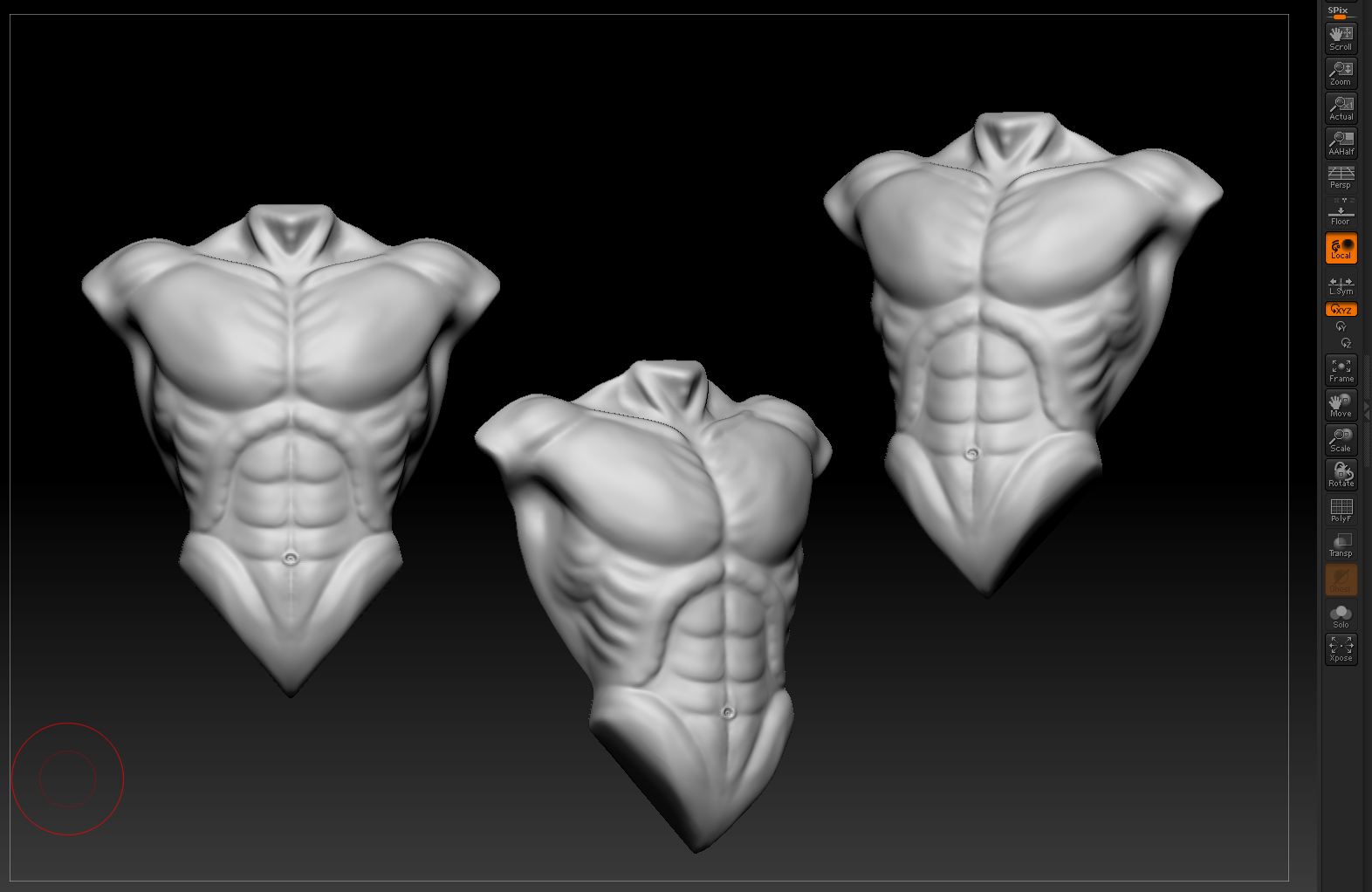 male torso.JPG