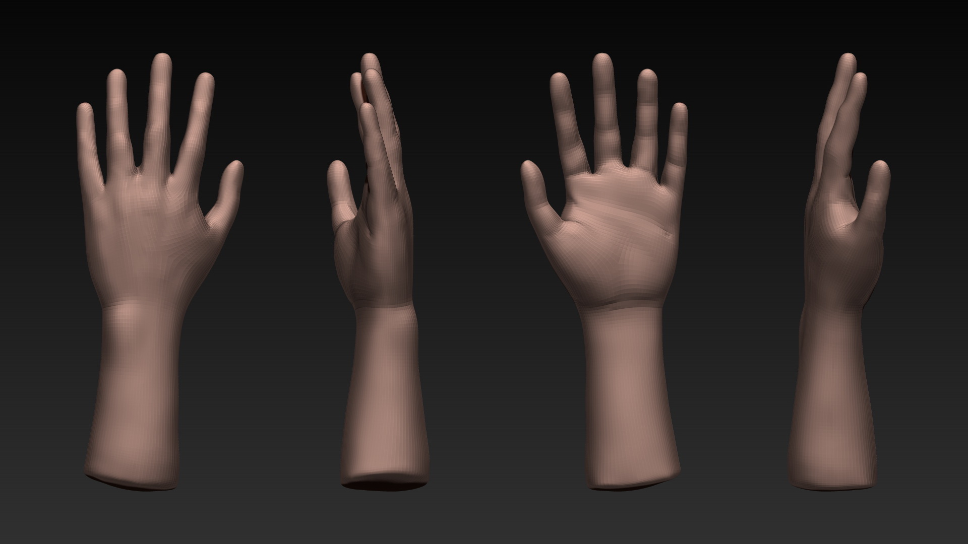 ZBrush Hand Base Mesh.jpg