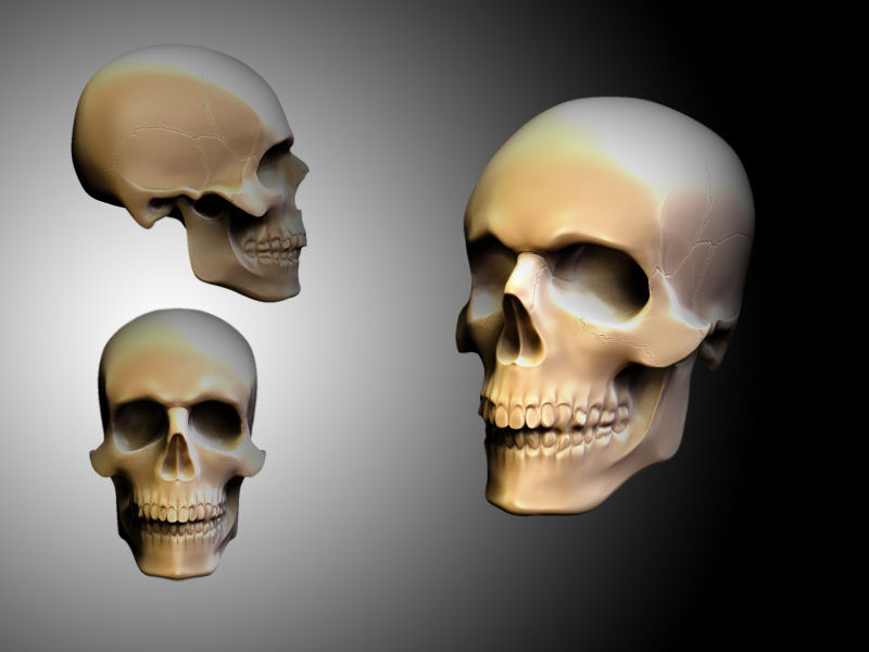 master_skull.jpg