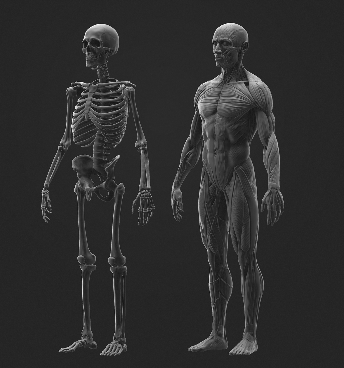 AnatomyStudy.jpg