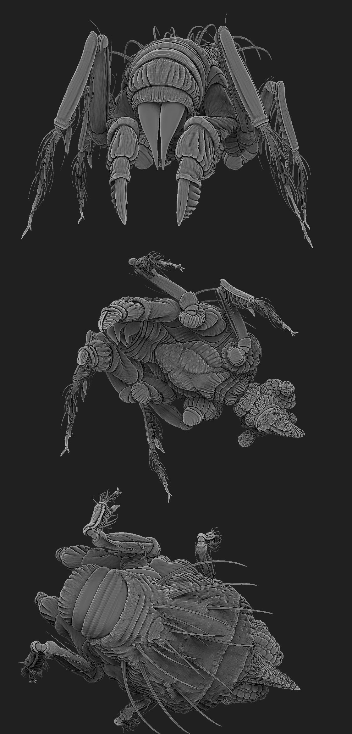bug_concept_tk100.jpg
