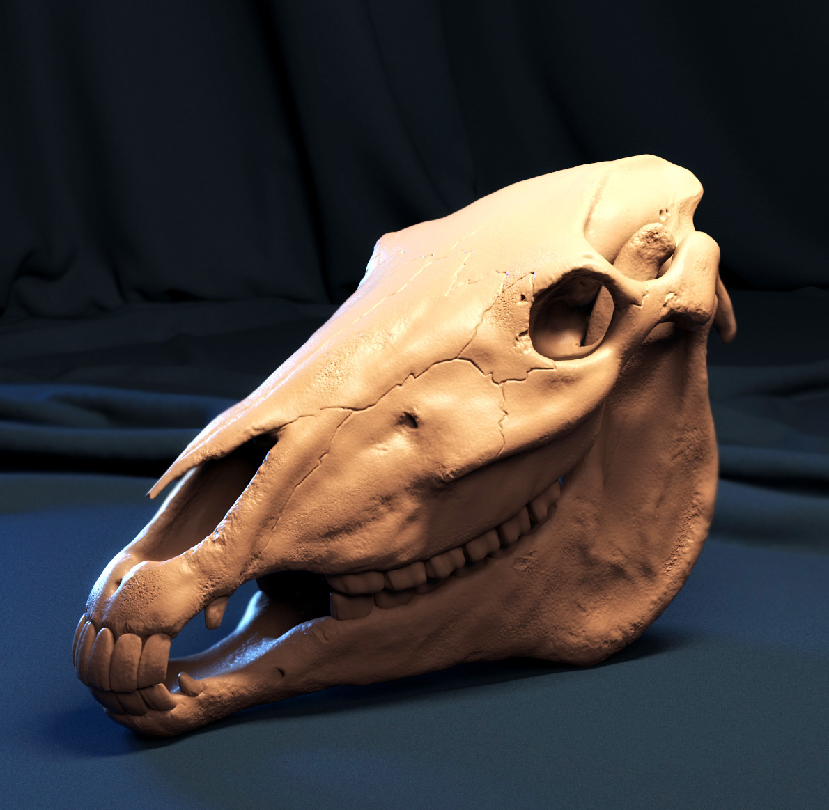 skull_02