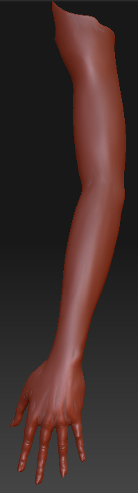 arm_2.jpg