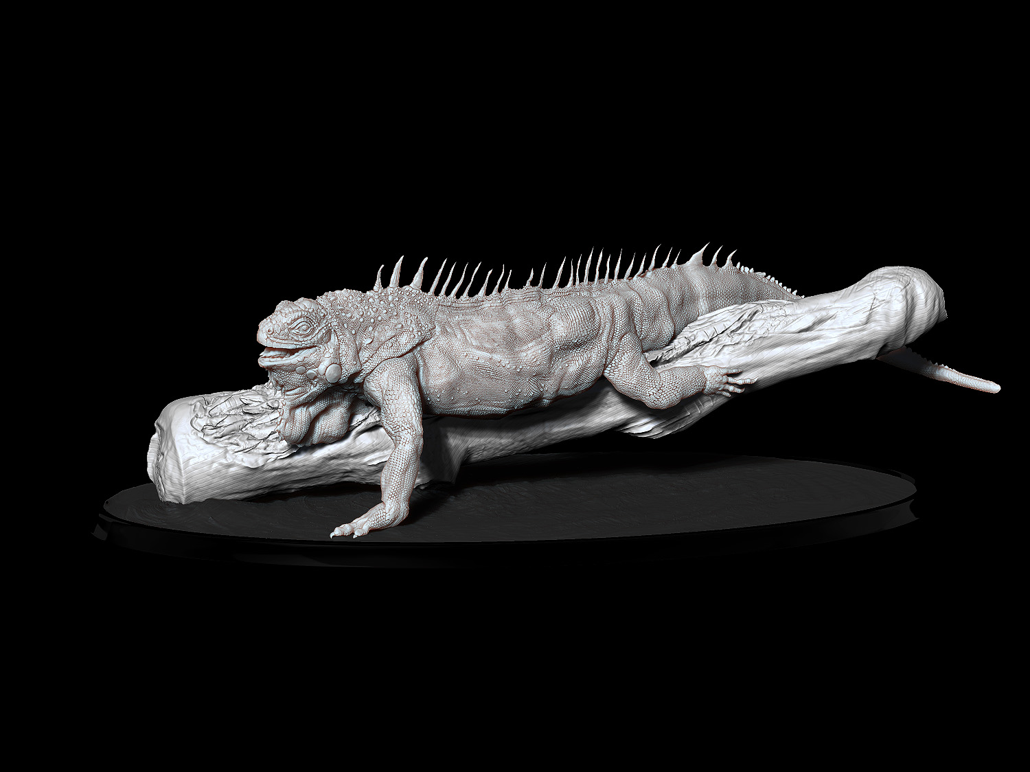 Iguana.jpg