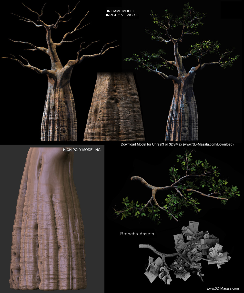 Baobab_01.jpg