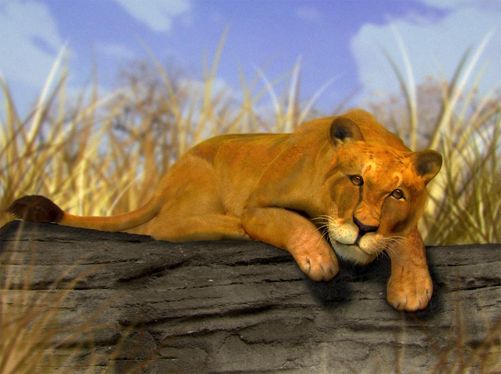 mylionfinalzbrush.jpg
