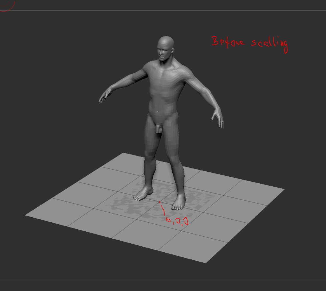 before scalling.JPG