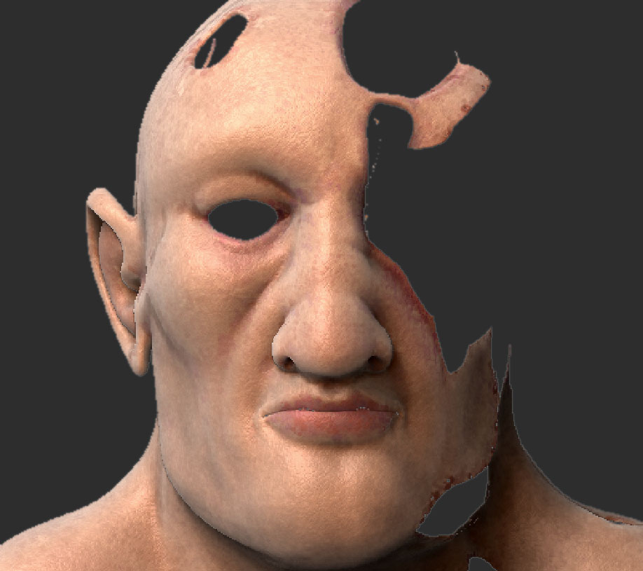 BionicFaceZB1.jpg