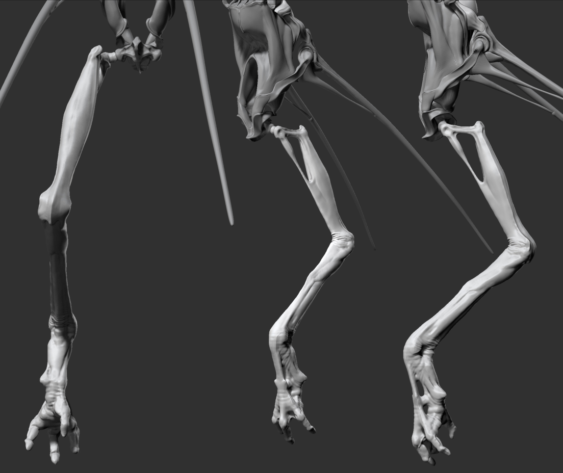 Sol_Step11_Sculpt.jpg