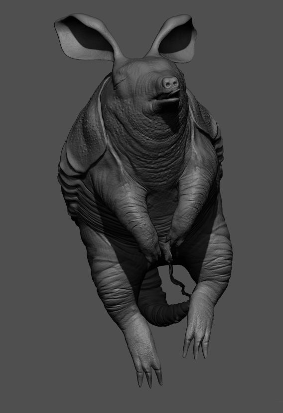 Tatusia_3479_Zbrush03.jpg