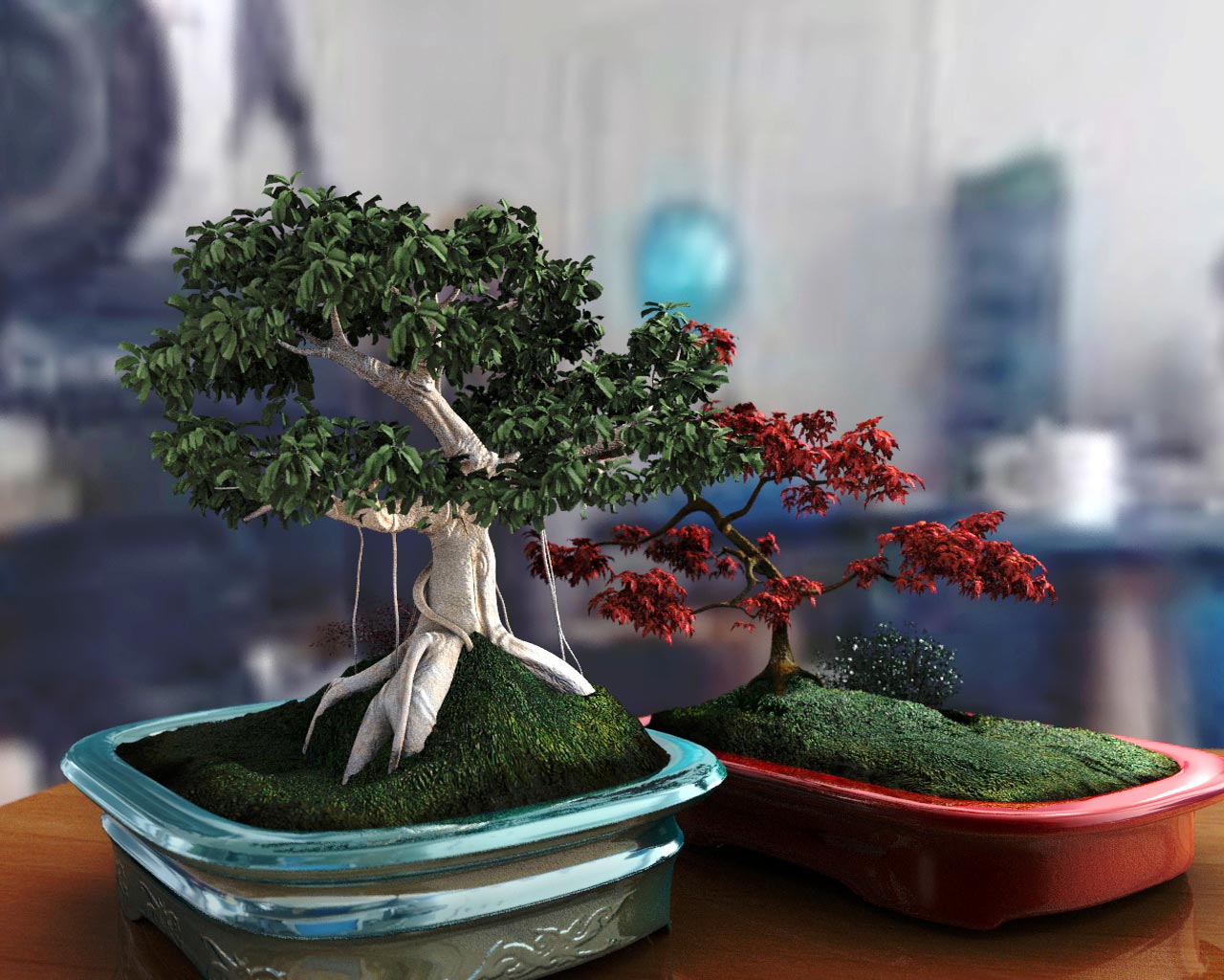 bonsai_03.jpg