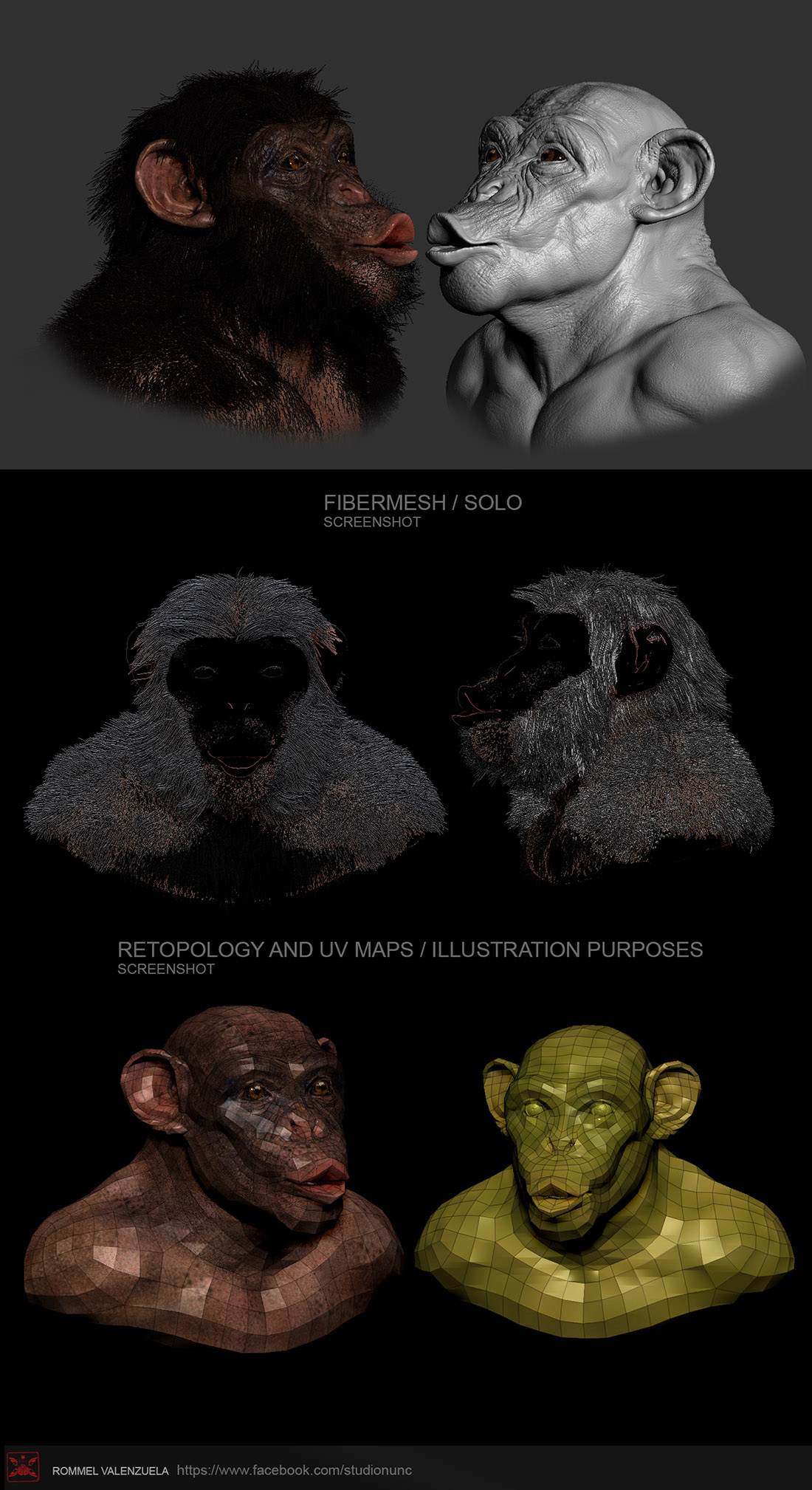 presentation-chimp2-1100pix.jpg