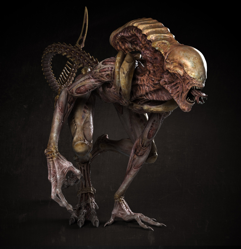 AlienFrontDsmall.jpg